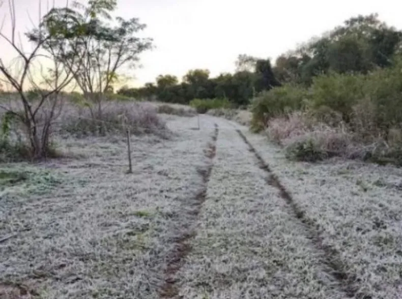 Ola polar en Corrientes: lagunas se congelaron