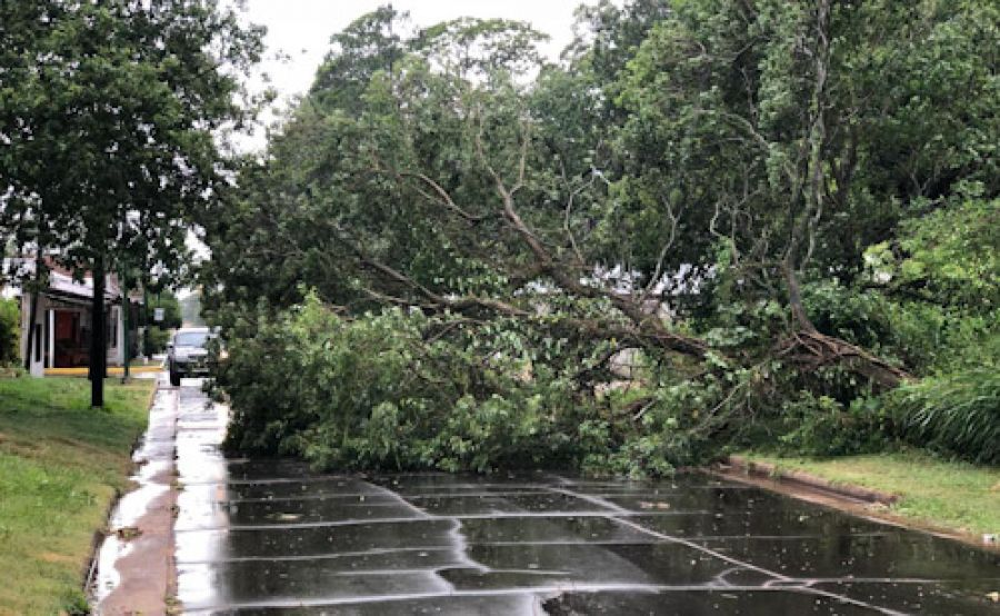 Mburucuyá: cola de tornado afectó a gran parte de la localidad