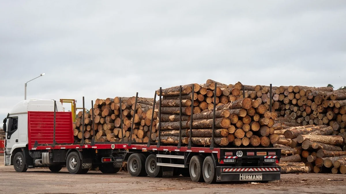 LA MADERERA ZENI INVERTIRÁ EN ESQUINA PARA TRIPLICAR SU PRODUCCIÓN DE EXPORTACIÓN