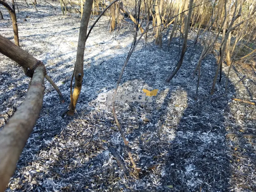 BOMBEROS CONTROLARON UN VORAZ INCENDIO DE PASTIZALES EN SAN CAYETANO